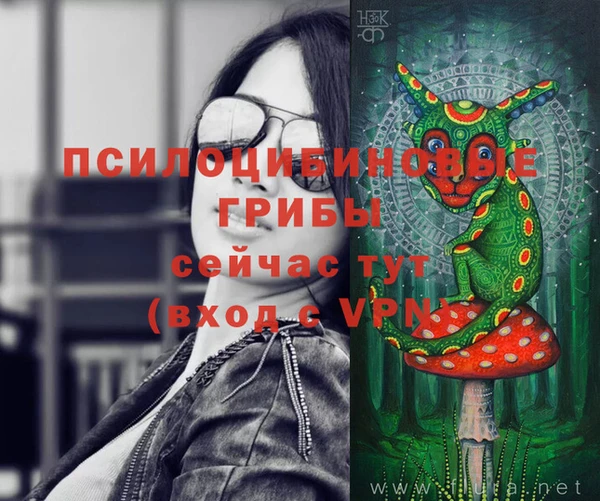стафф Пересвет