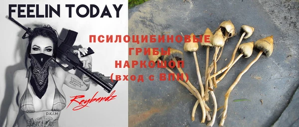 кокс Осташков