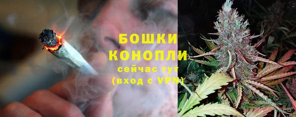 ГАЛЛЮЦИНОГЕННЫЕ ГРИБЫ Остров