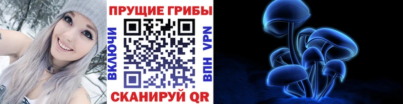 закладки  Слободской  Галлюциногенные грибы MAGIC MUSHROOMS 